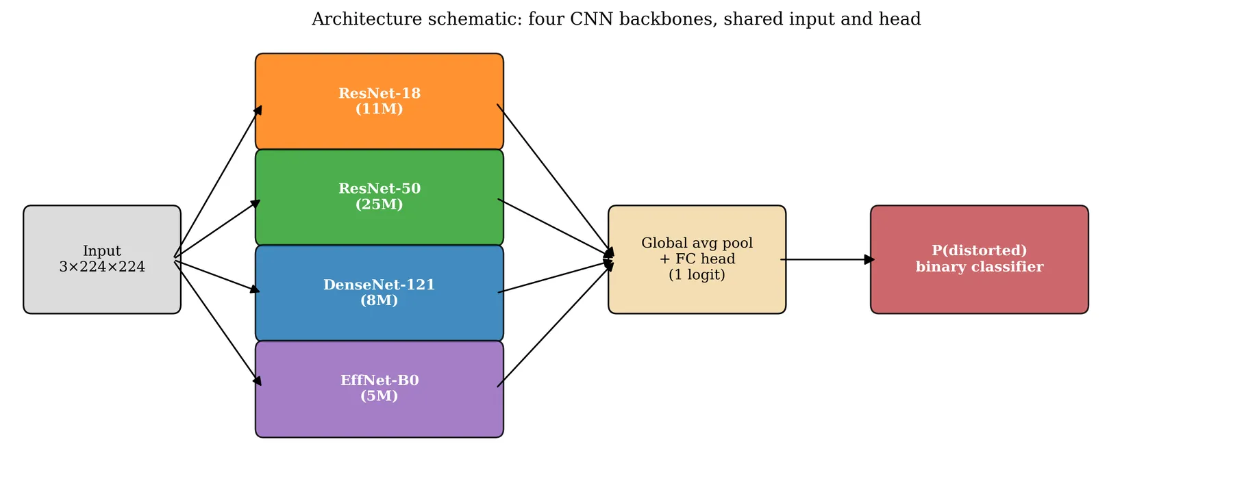 Architecture schematic from the thesis. One input feeds four interchangeable CNN backbones, ResNet-18, ResNet-50, DenseNet-121 and EfficientNet-B0, each ending in the same pooling and classification head with one logit: the probability that the acquisition is distorted.